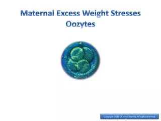 Maternal Excess Weight Stresses Oozytes
