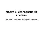 Модул 7 . Изследване на пчелите - slide 1