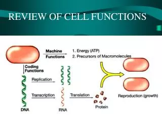 REVIEW OF CELL FUNCTIONS
