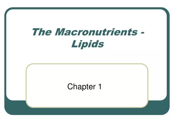 the macronutrients lipids