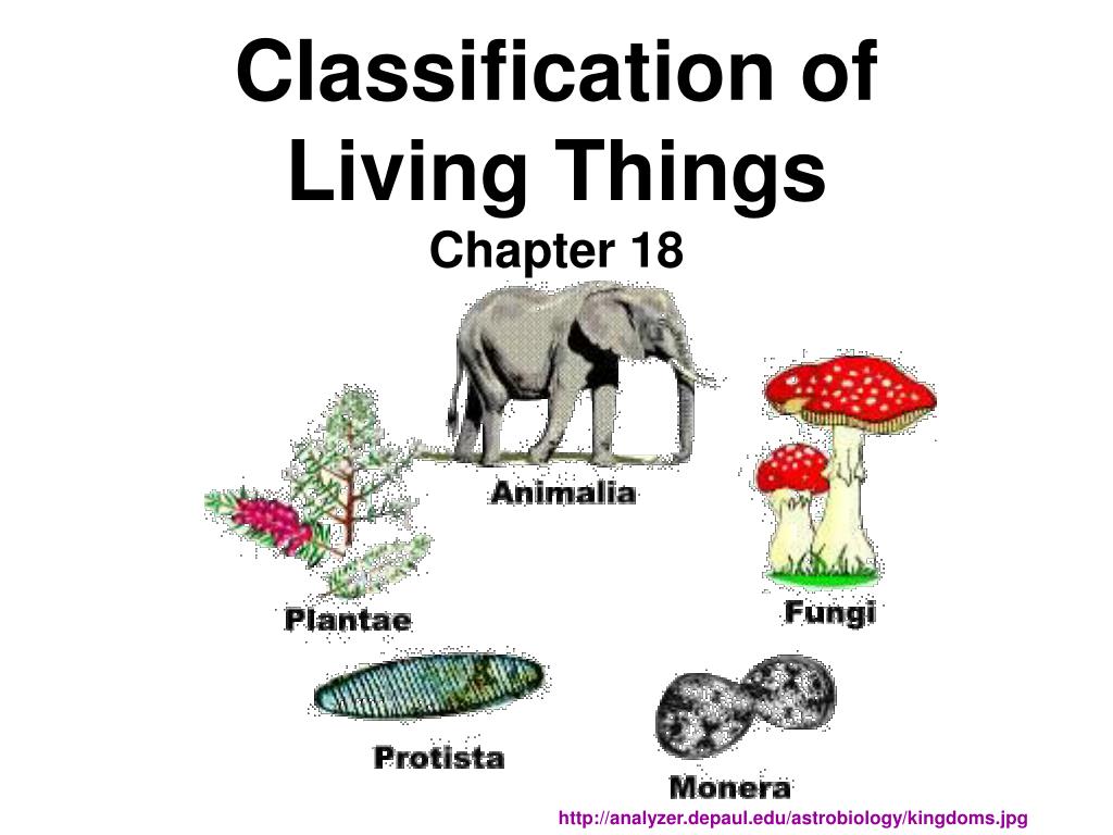 PPT - Classification of Living Things Chapter 18 PowerPoint ...
