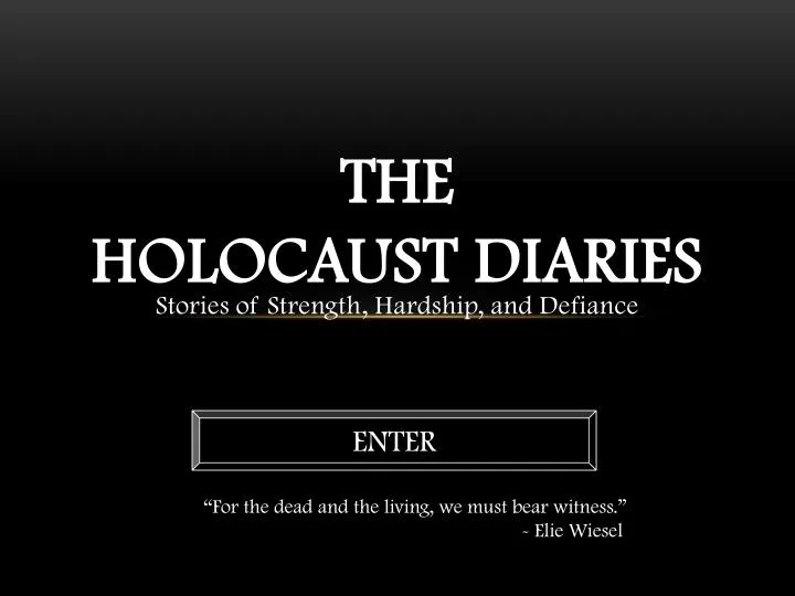 the holocaust diaries
