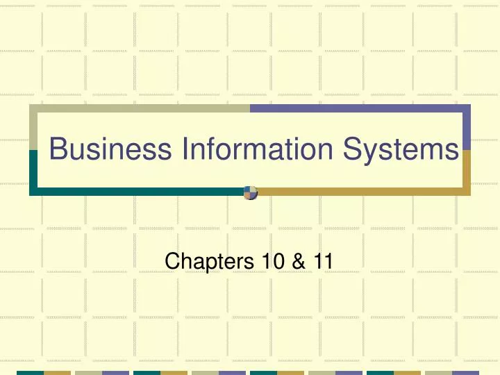business information systems
