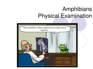 Amphibians Physical Examination