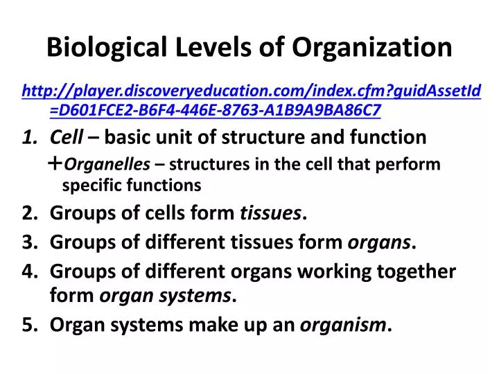 biological levels of organization
