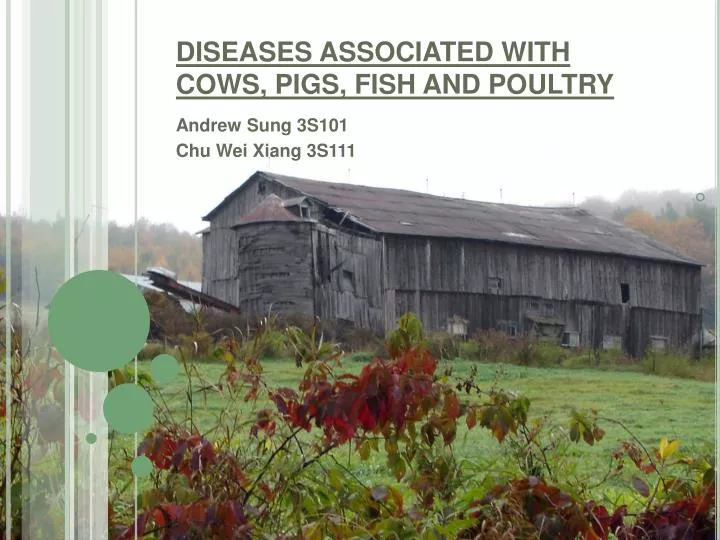 diseases associated with cows pigs fish and poultry