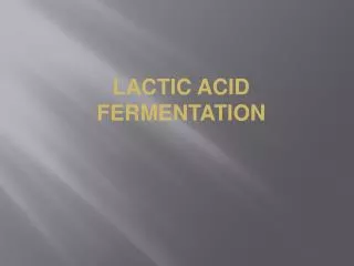 LACTIC ACID FERMENTATION