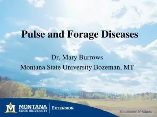 Pulse and Forage Diseases