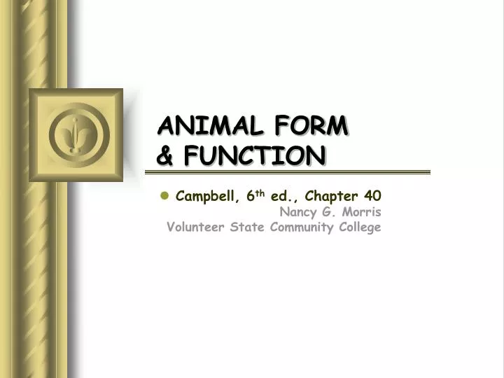 animal form function
