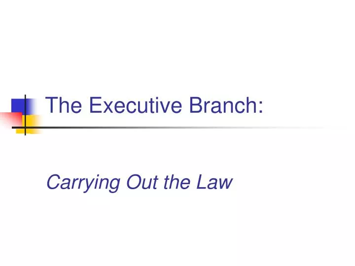 the executive branch carrying out the law