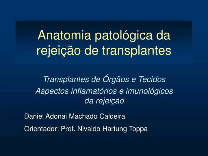 anatomia patol gica da rejei o de transplantes