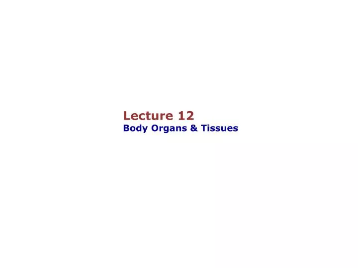 lecture 12 body organs tissues