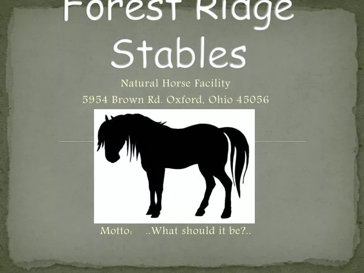 forest ridge stables