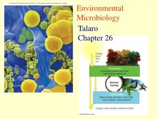 Environmental Microbiology