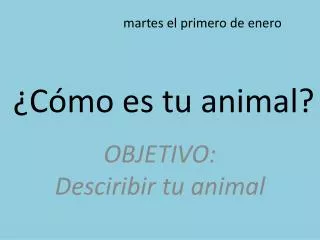 ¿ Cómo es tu animal?