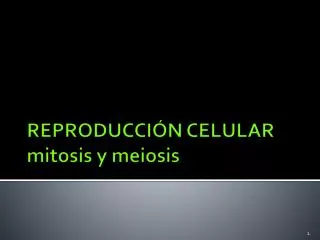 PPT - 13. Teoría Cromosómica De La Herencia. Ciclo Celular. Mitosis Y ...