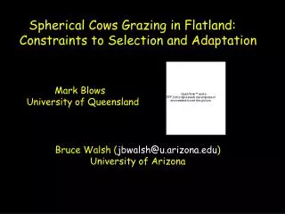 Spherical Cows Grazing in Flatland: Constraints to Selection and Adaptation