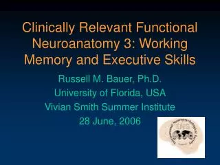 Clinically Relevant Functional Neuroanatomy 3: Working Memory and Executive Skills