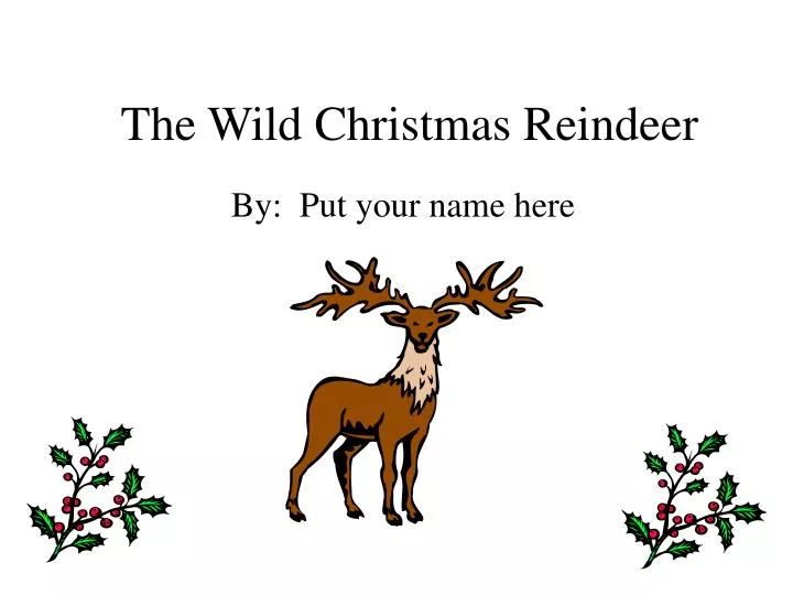 the wild christmas reindeer