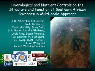 Hydrological and Nutrient Controls on the Structure and Function of Southern African Savannas: A Multi-scale Approach