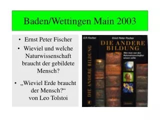 baden wettingen main 2003