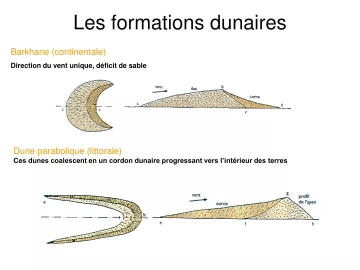 les formations dunaires