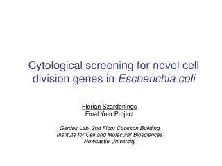 Cytological screening for novel cell division genes in Escherichia coli