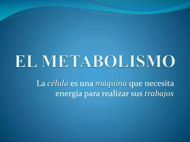 el metabolismo