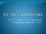 EL METABOLISMO - slide 1