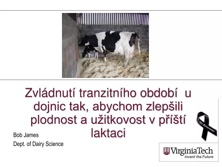 zvl dnut t ranzitn ho obdob u dojnic tak abychom zlep ili plodnost a u itkovost v p t laktaci