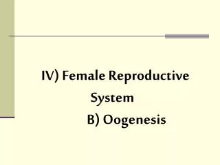 IV) Female Reproductive System 	B) Oogenesis
