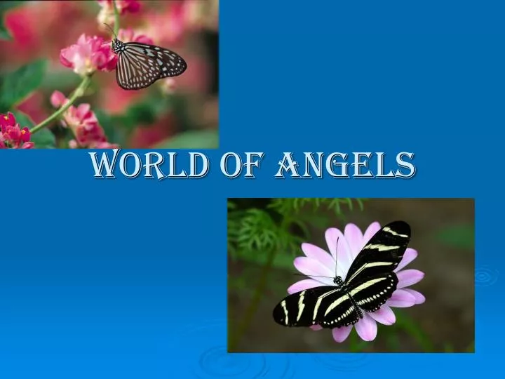 world of angels