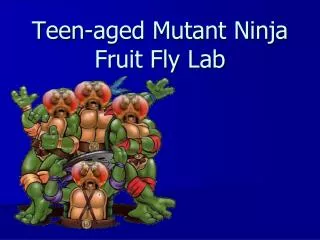 Teen-aged Mutant Ninja Fruit Fly Lab