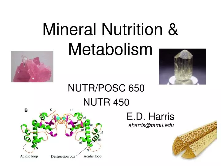 mineral nutrition metabolism