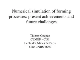 Numerical simulation of forming processes: present achievements and future challenges