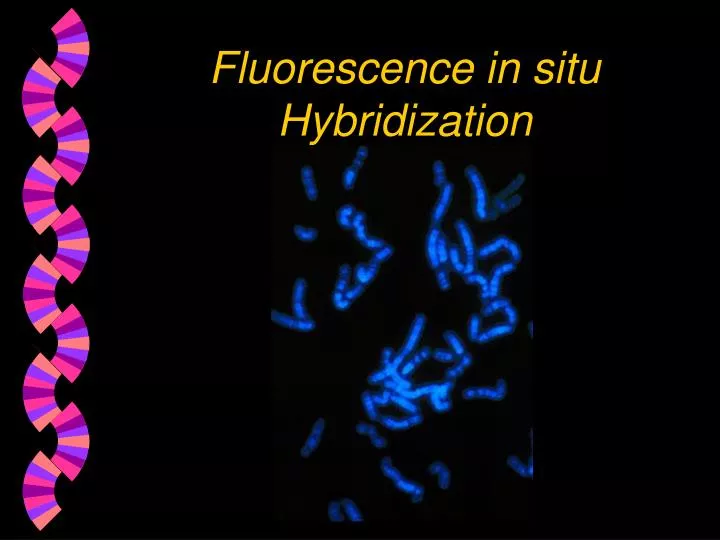 fluorescence in situ hybridization