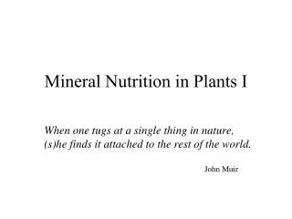 Mineral Nutrition in Plants I