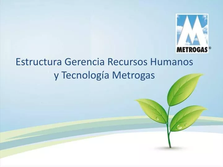 estructura gerencia recursos humanos y tecnolog a metrogas