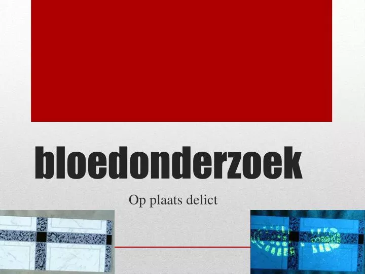 bloedonderzoek