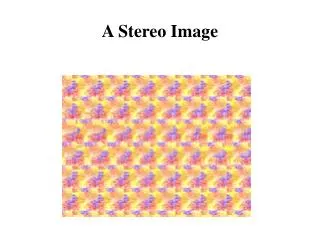 A Stereo Image