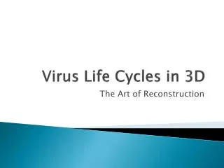 Virus Life Cycles in 3D