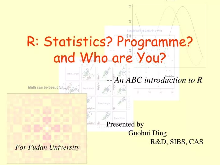 r statistics programme and who are you