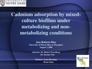 Cadmium adsorption by mixed-culture biofilms under metabolizing and non-metabolizing conditions