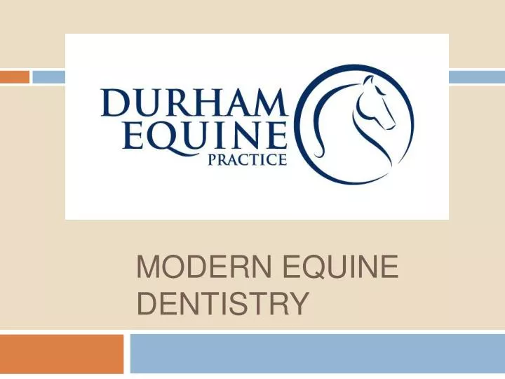 modern equine dentistry