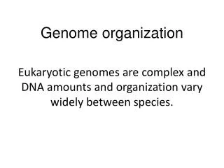 Genome organization