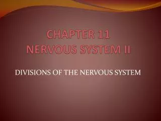 CHAPTER 11 NERVOUS SYSTEM II