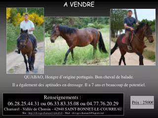 A VENDRE