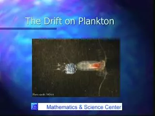 The Drift on Plankton