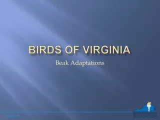 Birds of Virginia