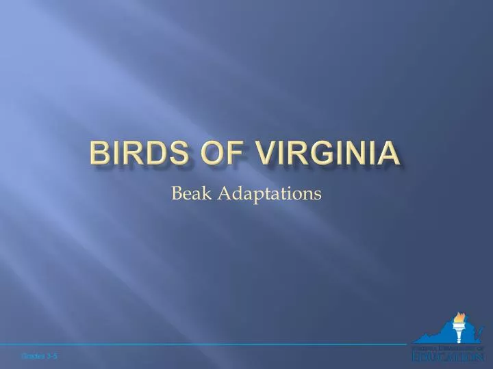 birds of virginia